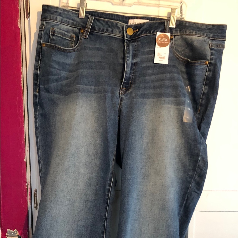 Lane Bryant Signature Fit Flare Jeans